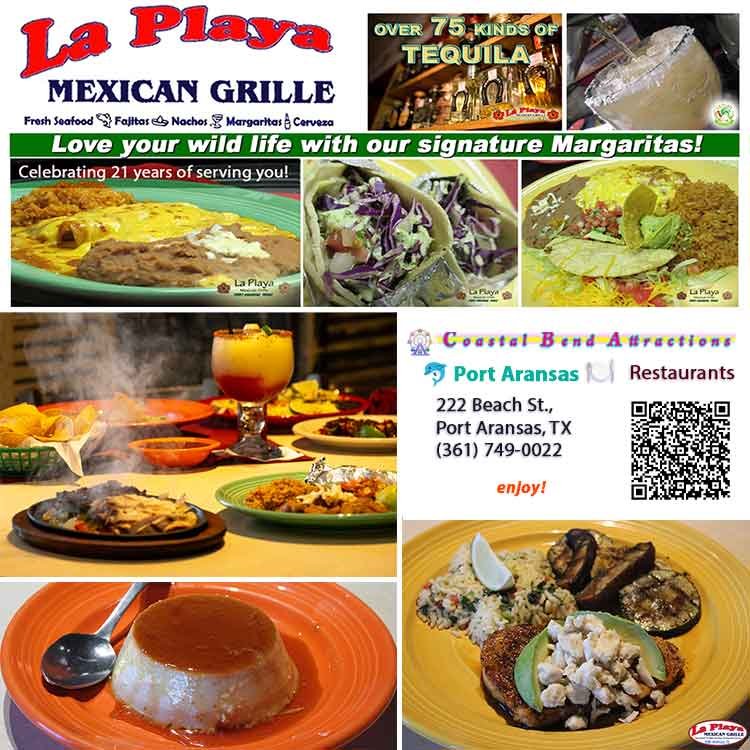 La Playa Mexican Grille